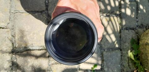 SONY FE 200-600 mm F5.6-6.3 G OSS 1250 Jou-ls-Tours (37)