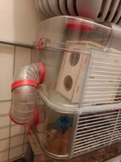   Cage rongeurs  