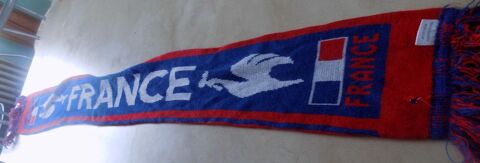Supporter équipe France La Motte-d'Aveillans (38)