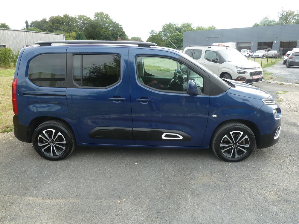 Berlingo Taille M BlueHDi 130 S&S EAT8 Shine 2019 occasion 59530 Le Quesnoy