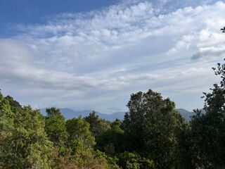  Terrain � vendre 50000 m� Santa-maria-sich�