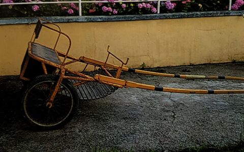 Sunky Attelage d'quitation 350 Chtillon-sur-Thouet (79)