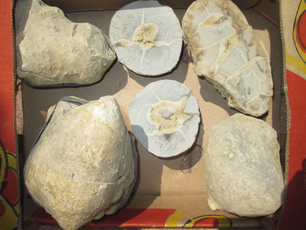 septarias 