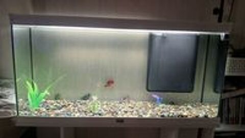   Aquarium aquadisio + meuble complet  