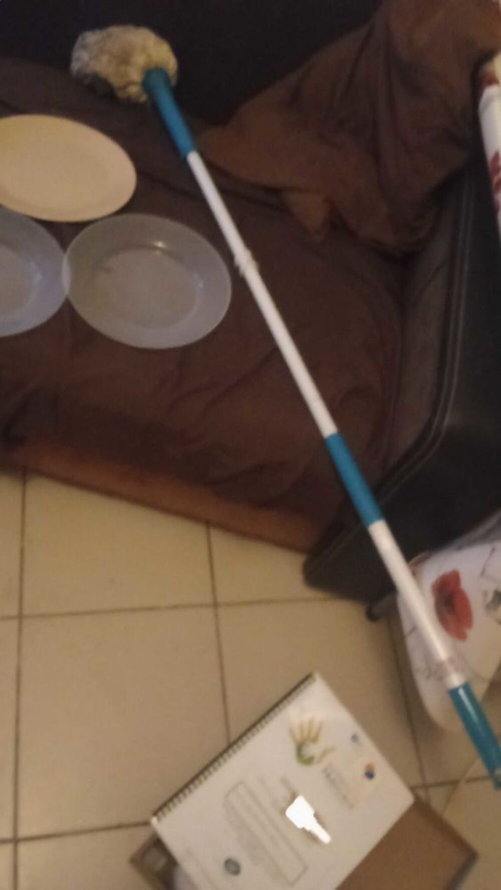 cause d&eacute;m&eacute;nagement Décoration