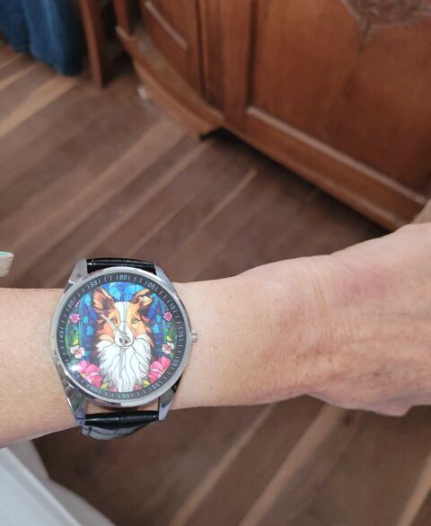 Montre motif colley 8 Urrugne (64)