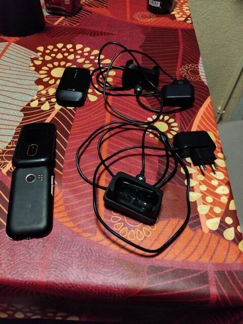 2 portables DORO 30 Zimming (57)