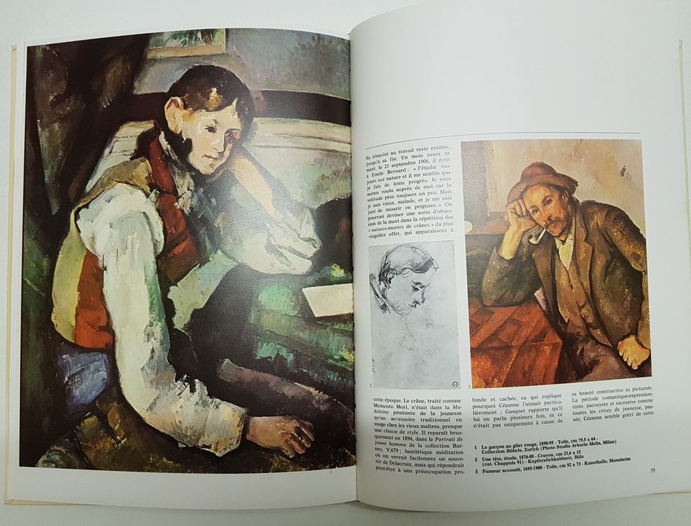Collection &quot;Les impressionnistes&quot; (11 volumes) Livres et BD