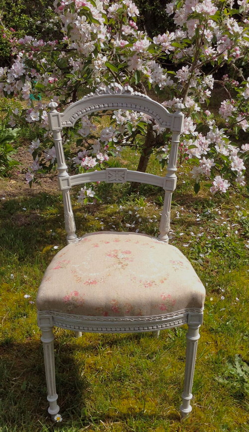 Ravissante chaise Louis XVI . Patine &agrave; l'ancienne Meubles