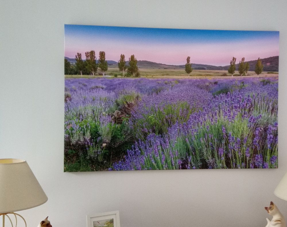 Tableau imprim&eacute; sur toile
Décoration