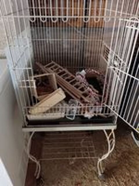   Cage perroquets oiseaux avec accessoires  