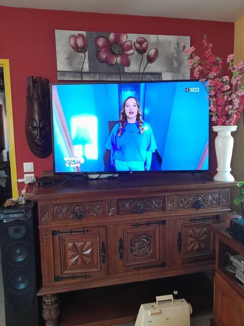 grande t�l�vision 170 Nomain (59)