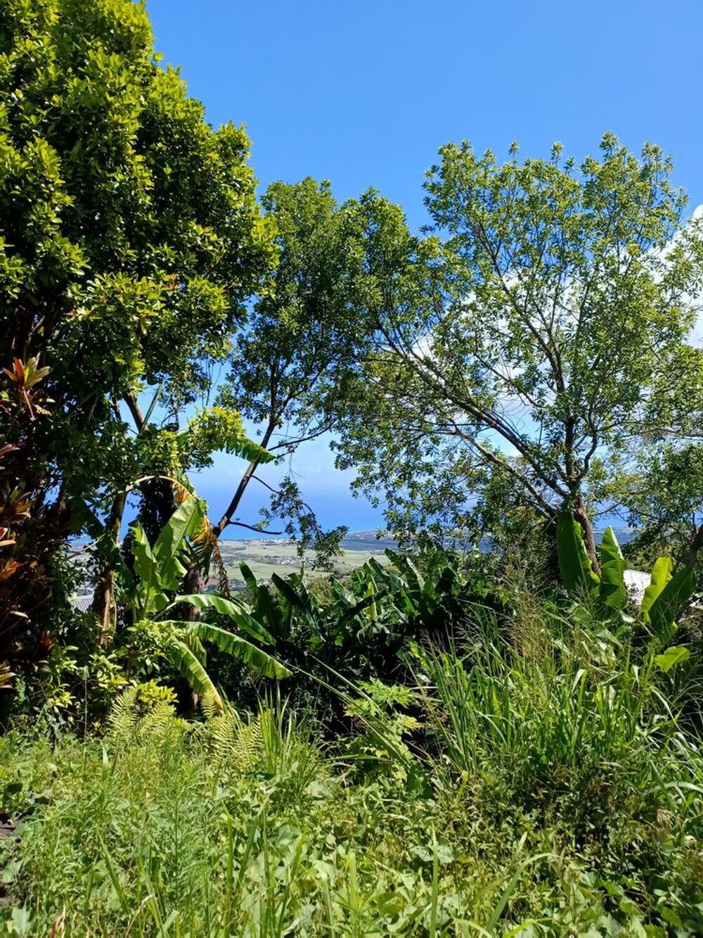 Vente Maison ORPI SAINTE MARIE - Maison avec vue mer sur terrain de 1 301 m² Sainte-marie