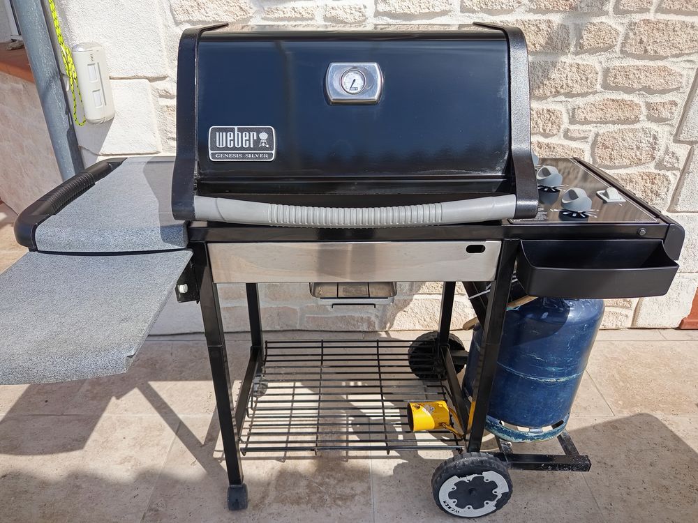 Barbecue Gaz Weber Genesis Silver Jardin