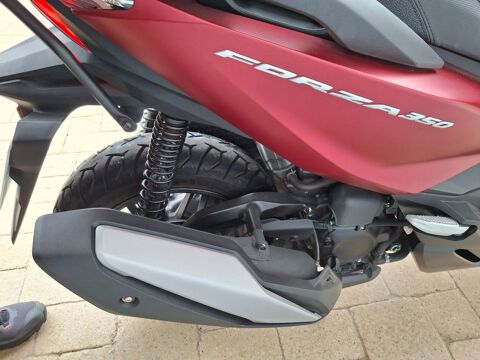 Scooter HONDA 2022 occasion Saint-Florent-sur-Cher 18400