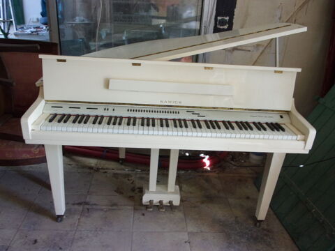 PIANO A QUEUE 300 La Flotte (17)