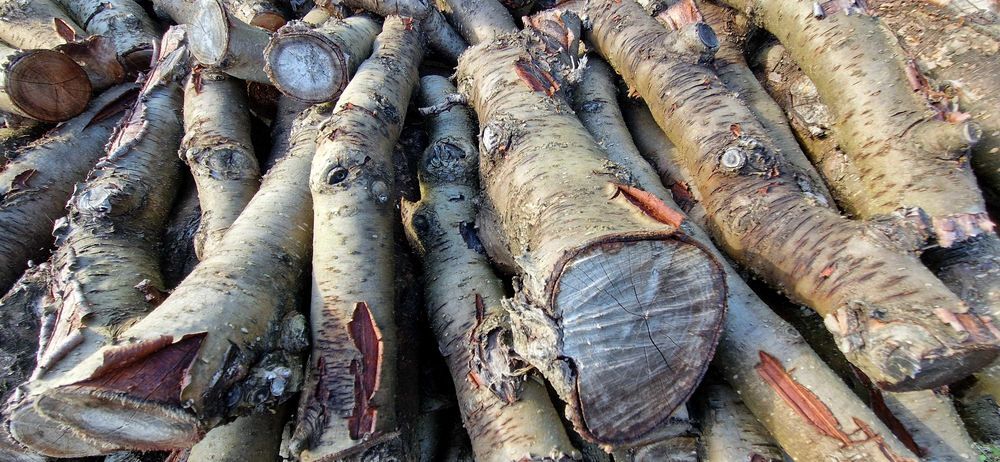 Bois de chauffage Pommier Livrer Jardin