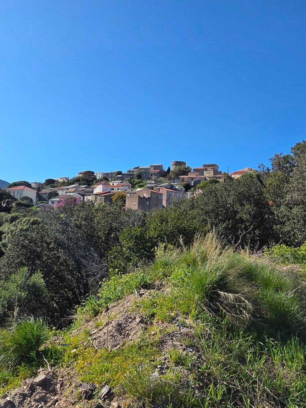 Vente Terrain terrain Tomino