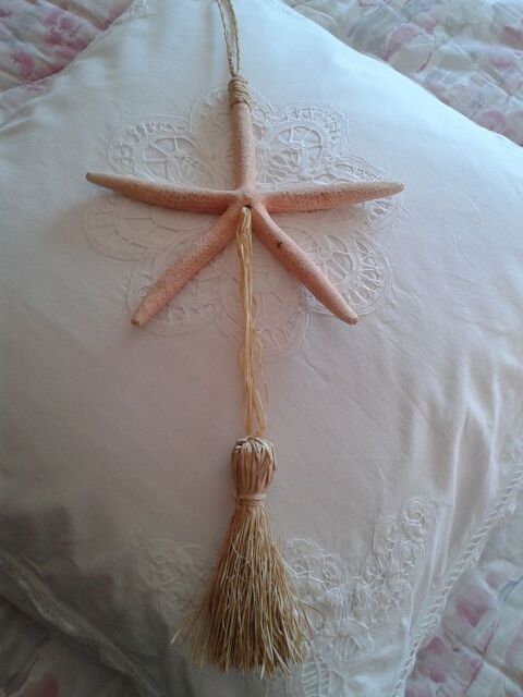 Etoile de mer � suspendre 14 Dijon (21)