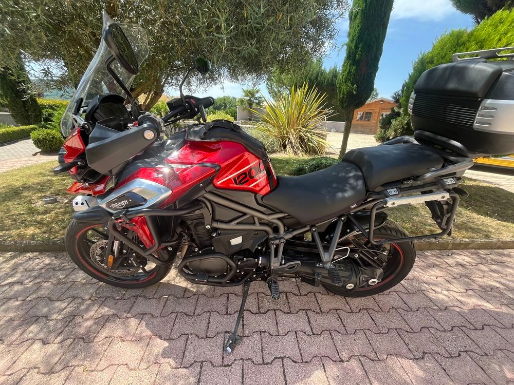 TRIUMPH 2018 occasion 38460 Trept