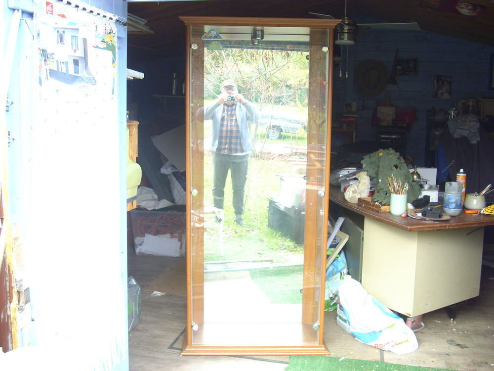 deux vitrines pour collection Meubles
