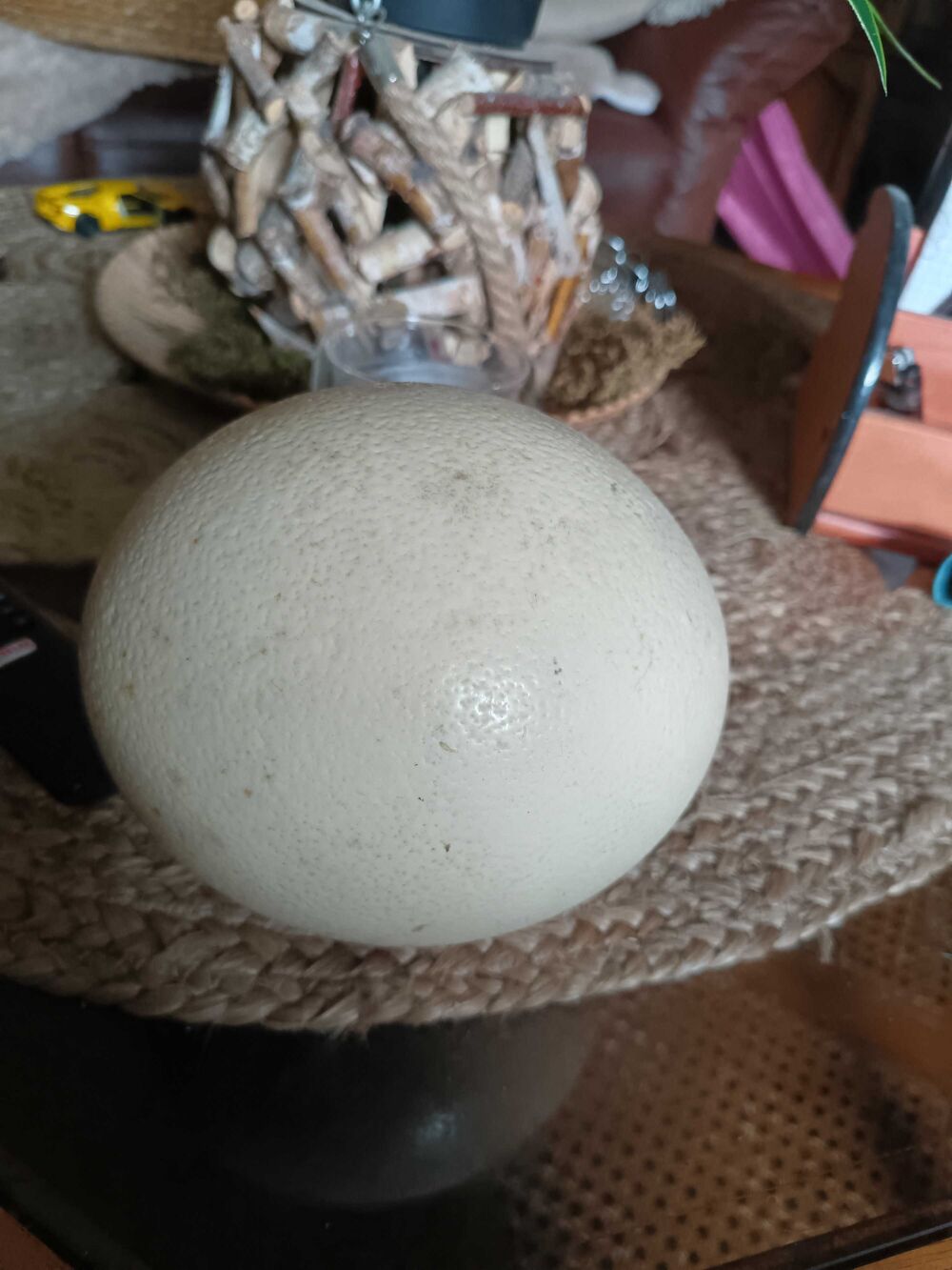oeuf d autruche 