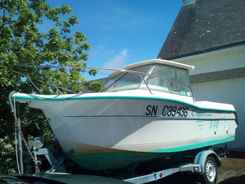 Bateaux à moteur Pêche-promenade 2004 occasion Mesquer 44420