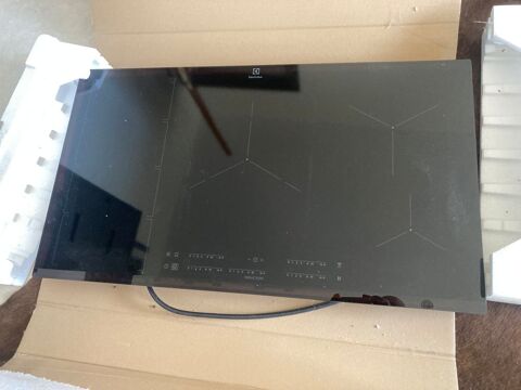 INDUCTION GRAND MODELE ABSOLUMENT NEUVE GARANTIE 3 ANS 500 Tarbes (65)