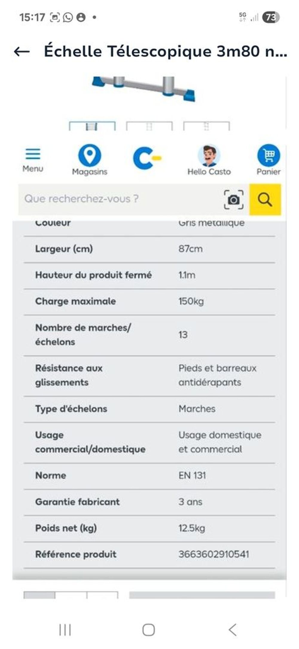 &Eacute;chelle t&eacute;lescopique 3m80 Bricolage