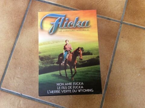 Coffret Flicka 10 Mauves (07)