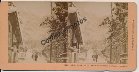 STEREOVIEW SUISSE The Wetterhorn in Winter Photo Stéréo 1880 Loches (37)
