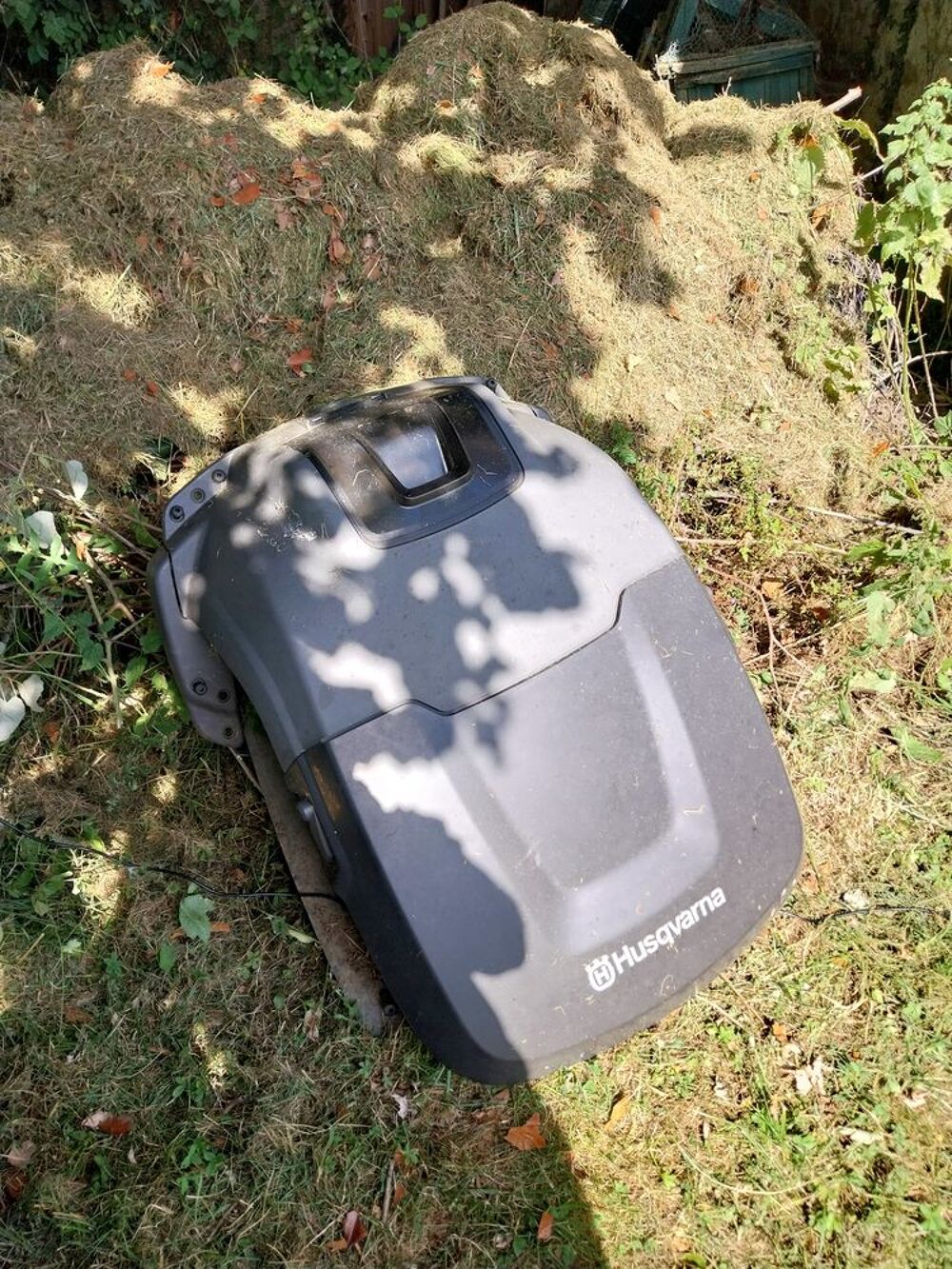 Robot tondeuse Jardin