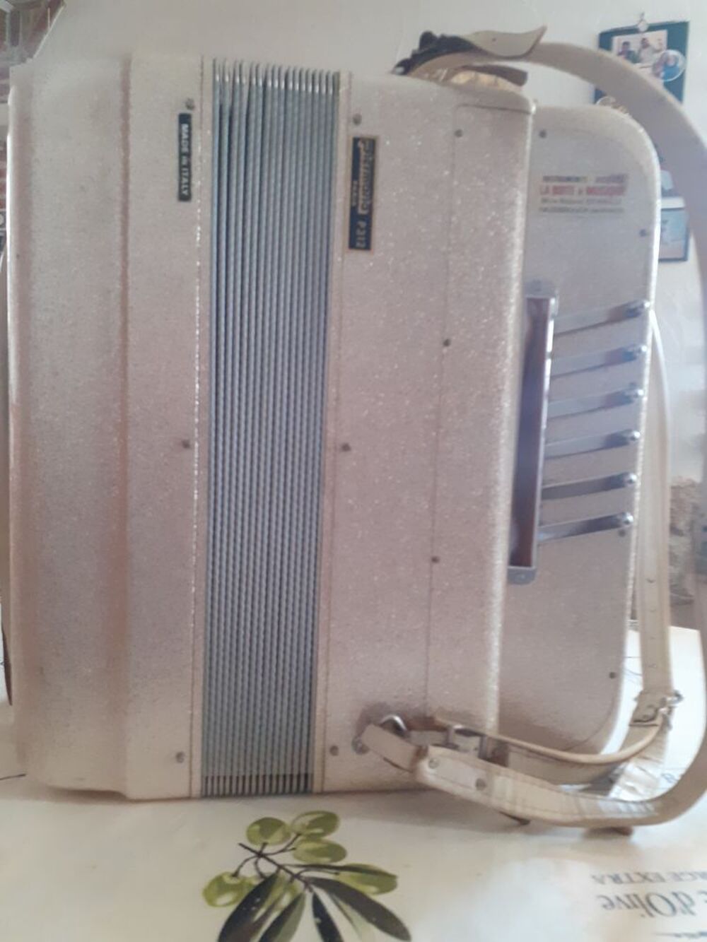 accordeon piermaria p312 et sa valise de transport Instruments de musique