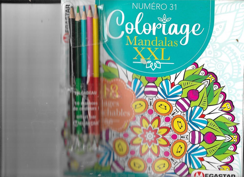 COLORIAGE ADULTE XXL Jeux / jouets