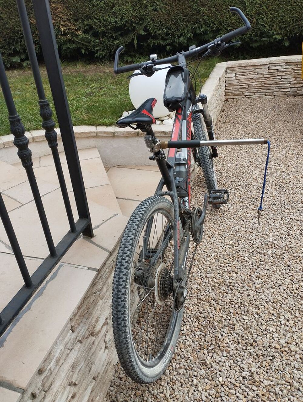   Laisse pour chien sur v�lo  