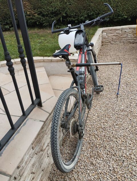 Laisse pour chien sur vélo 30 69730 Genay