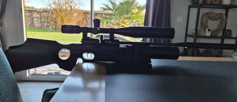 carabine fx royale 400 5,5 800 Saint-Martin-la-Campagne (27)