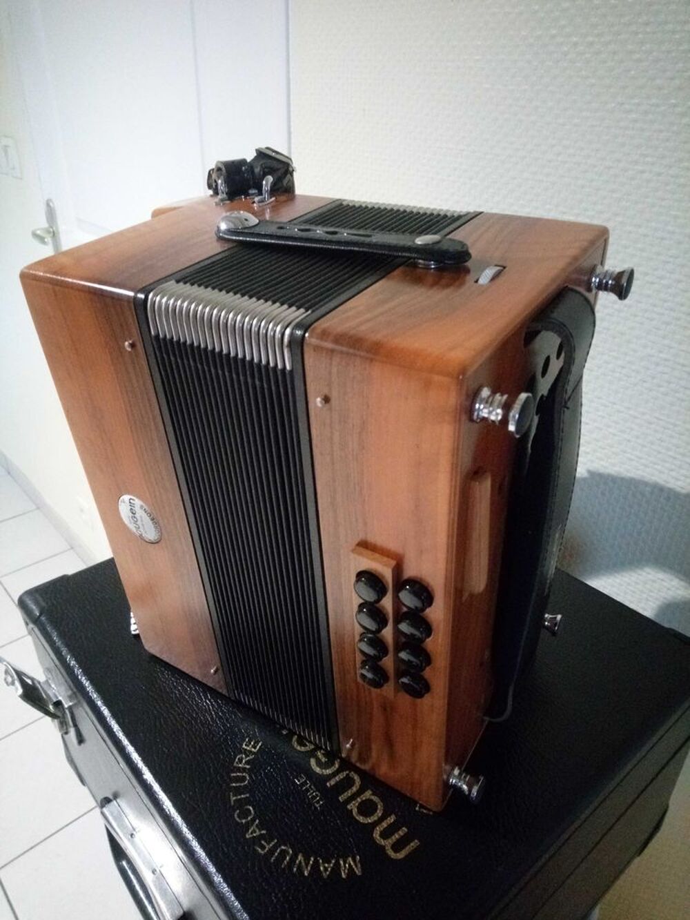 accordeon diatonique Instruments de musique