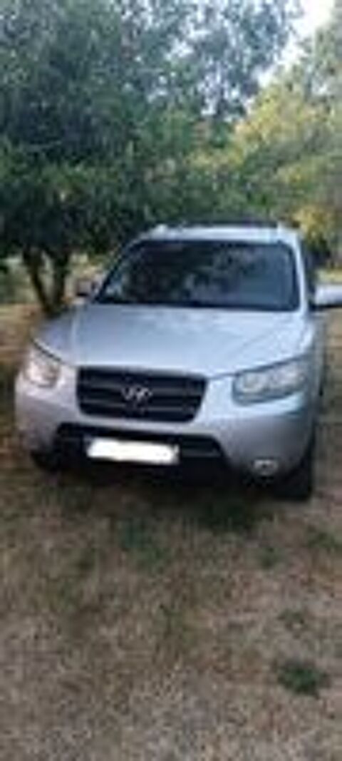 Santa Fe pack confort 2006 occasion 85430 Aubigny