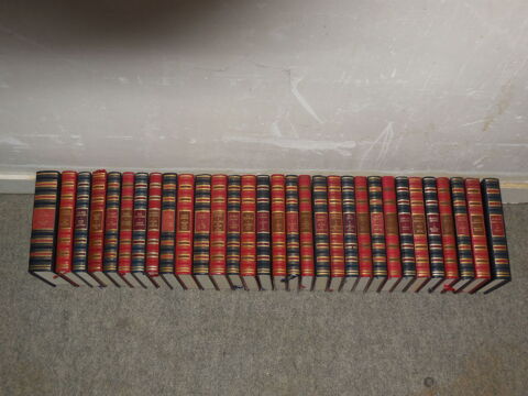 collection livres policiers 0.5 Saint-Mathurin-sur-Loire (49)