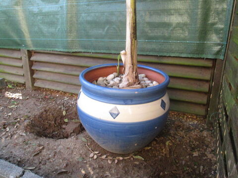 pot de fleurs exterieur 25 Saint-Martin-des-Champs (50)