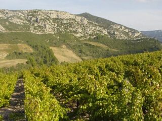  Terrain � vendre 4795 m�