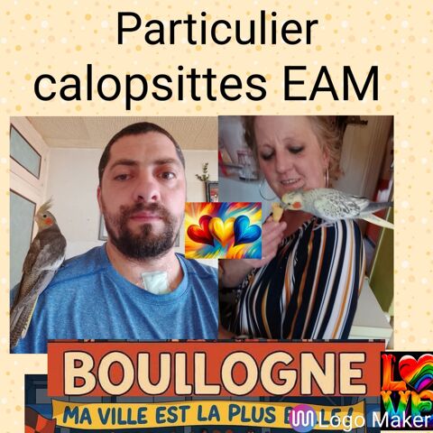 Calopsittes EAM MAN EPP 0 62200 Boulogne-sur-mer