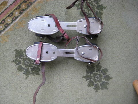 PATINS  A  ROULETTES Tours (37)