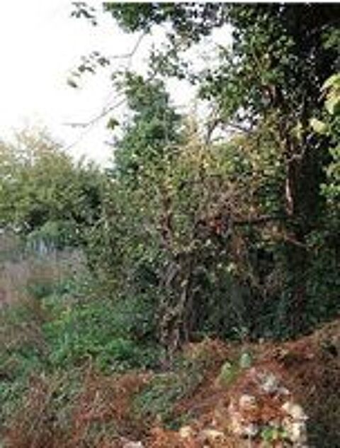   je recherche pour mon jardin une personne serieuse   