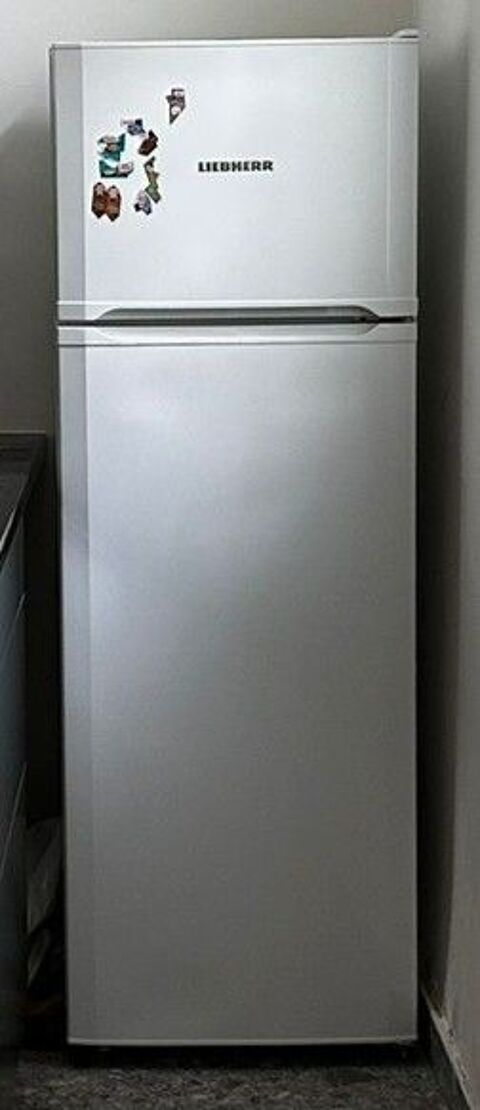 GRAND REFRIGERATEUR CONGELATEUR quasi neuf (55 x 157.1 x 63 390 Paris 18 (75)