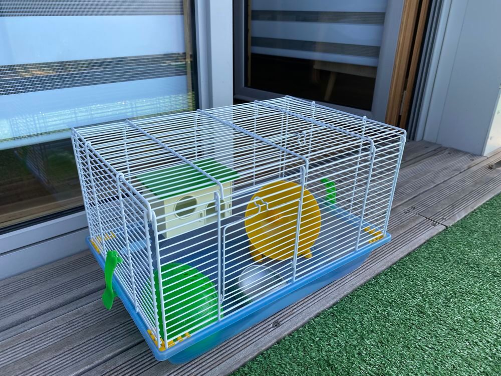   Cage hamster 
