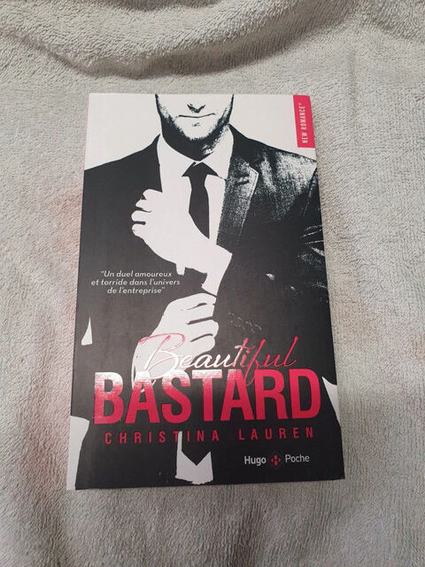 Livre beautiful bastard 
3 Aubvillers (80)