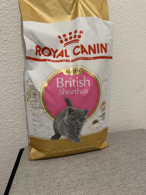 Royal canin british shortair kitten / royal canin kitten  25 31000 Toulouse