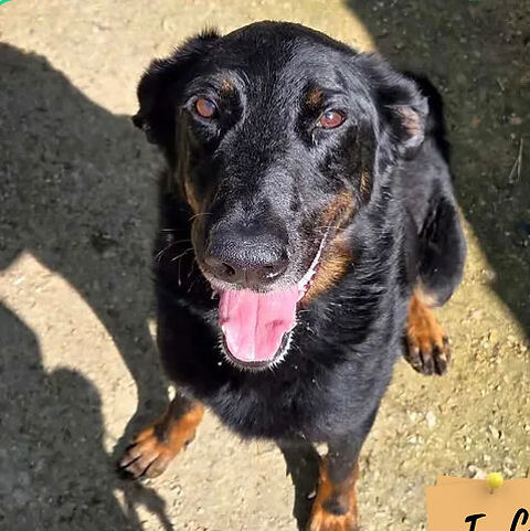 Spark 250 26700 Pierrelatte